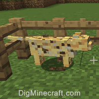 How to tame Ocelot in Minecraft