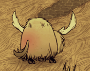 Beefalo is not hungry 2