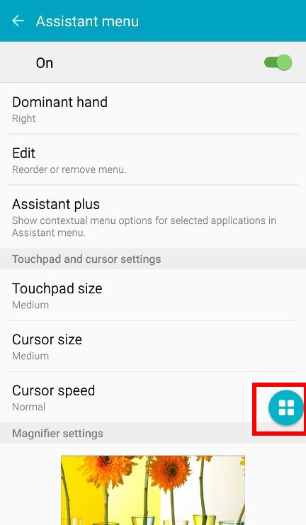 take_screenshot_on_galaxy_note_5_4_enabling_assistant_menu