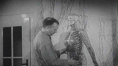 did hitler invent blow up dolls