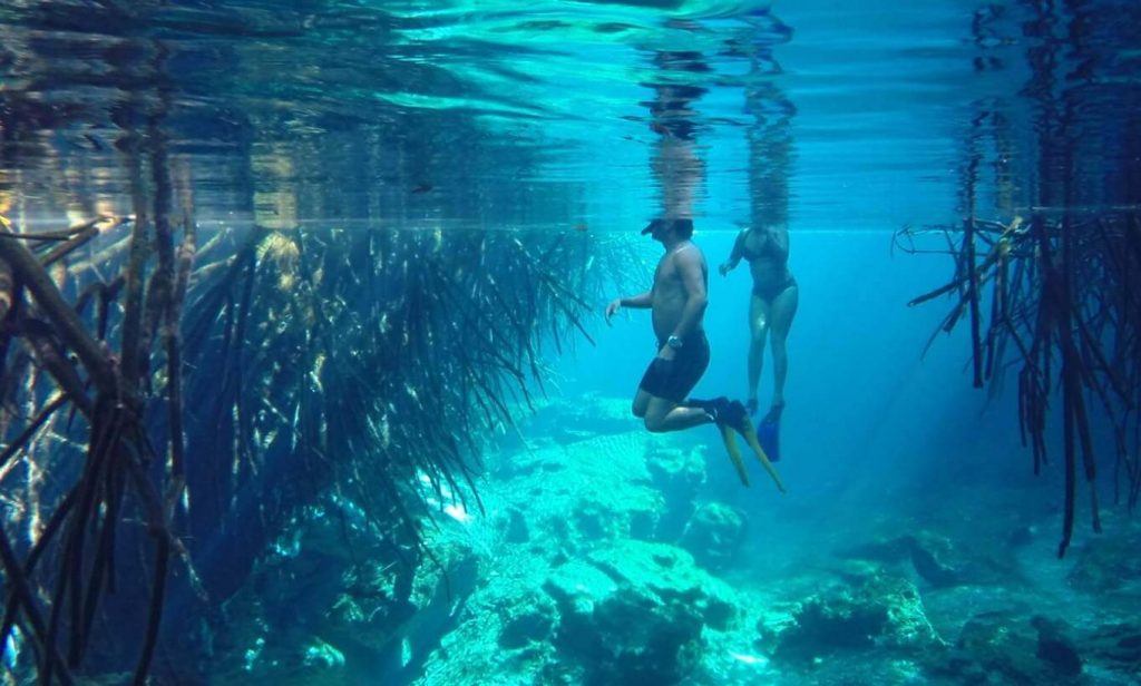 Snorkeling blue water cenote