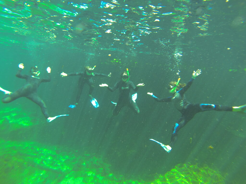 people snorkeling