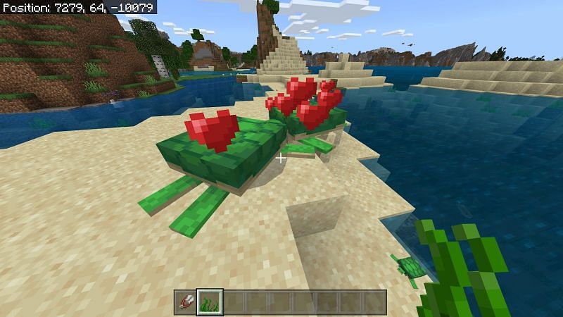 Breathing underwater using turtle helmet Minecraft