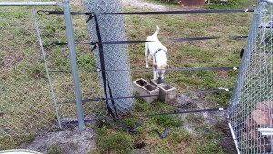 Pull the fence without attachment or the person pulling the fence