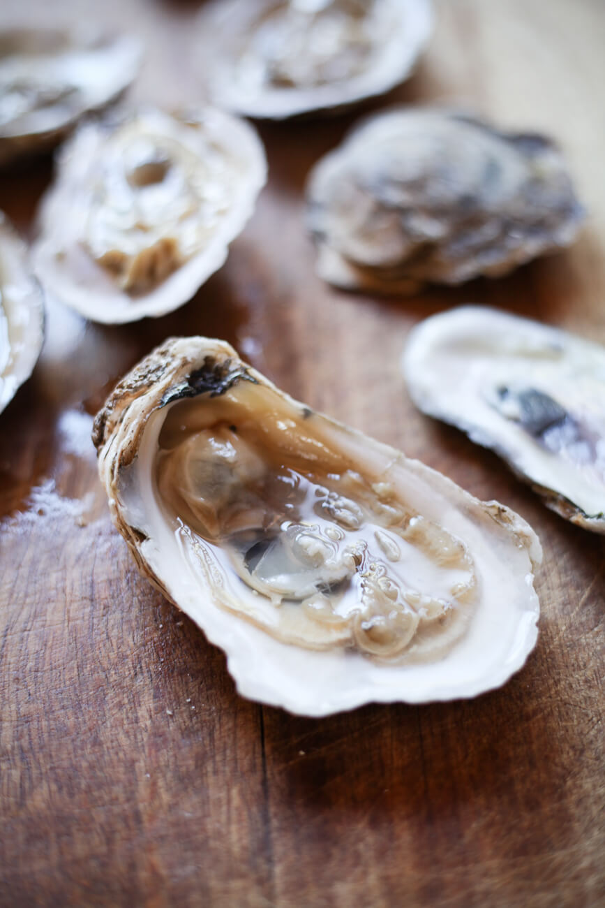 A close-up photo of a raw Blue Point oyster on the half shell.