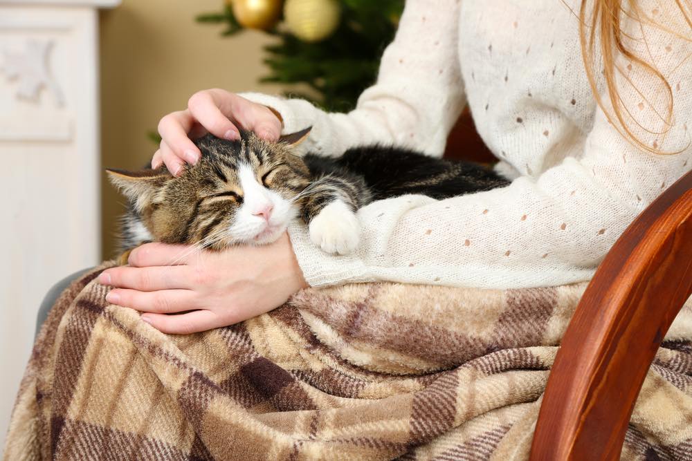 woman on chair with cat on lap sleeping in tree