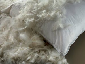 How to prevent feathers from leaking out of pillows?