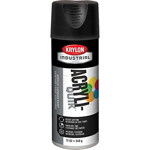 Krylon 1602 12-Oz Fast-Drying High Gloss Finish Spray Paint, Ultra-Flat Black