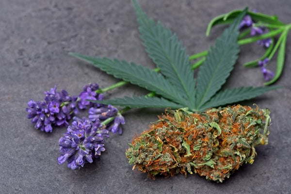 smoke marijuana with lavender