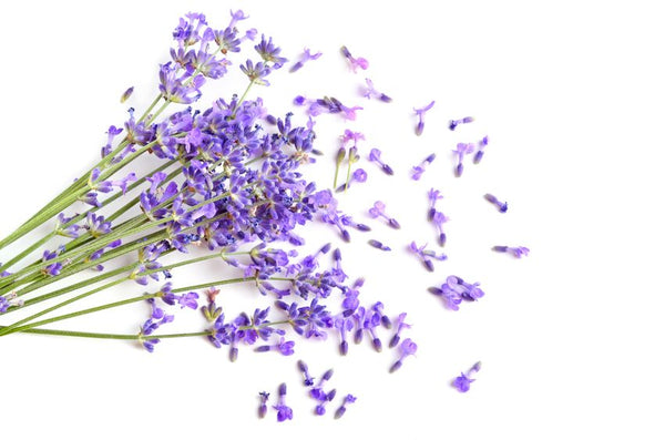 Stop smoking with lavender