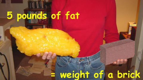 5 pounds of body weight visualized