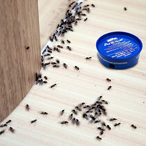 Home Plus Ant Killer (4pcs Pack), Indoor & Outdoor Metal Ant Trap, Ant Killing Station, Effective Ant Control System, 4 Cans Ant Trap, Ant Trap w/ Food-based attractant, Pesticide-free Ant Trap