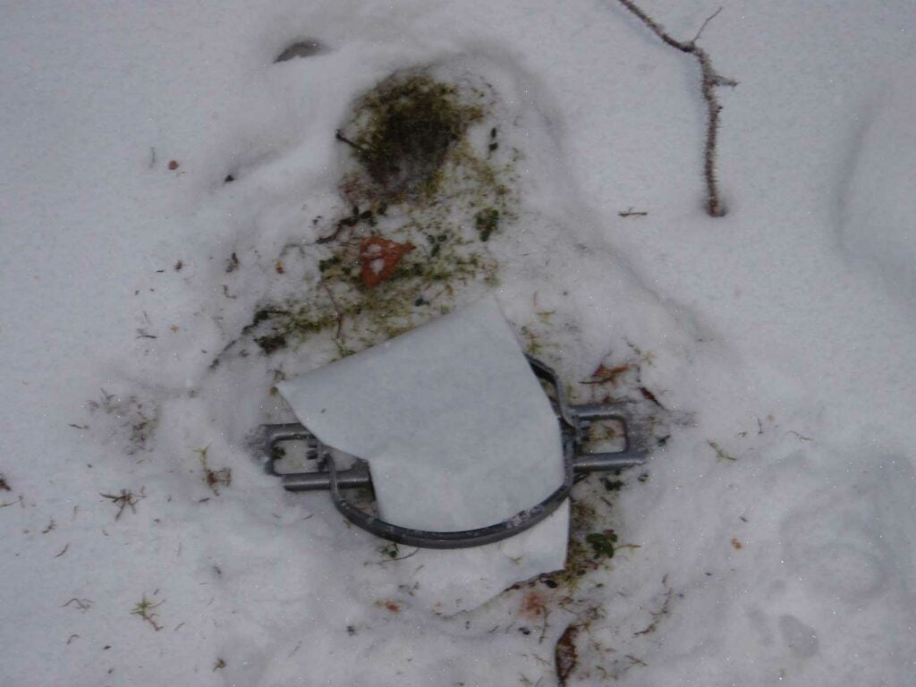 A number 9 wolf trap in Alaska was set up after a heavy snowfall.