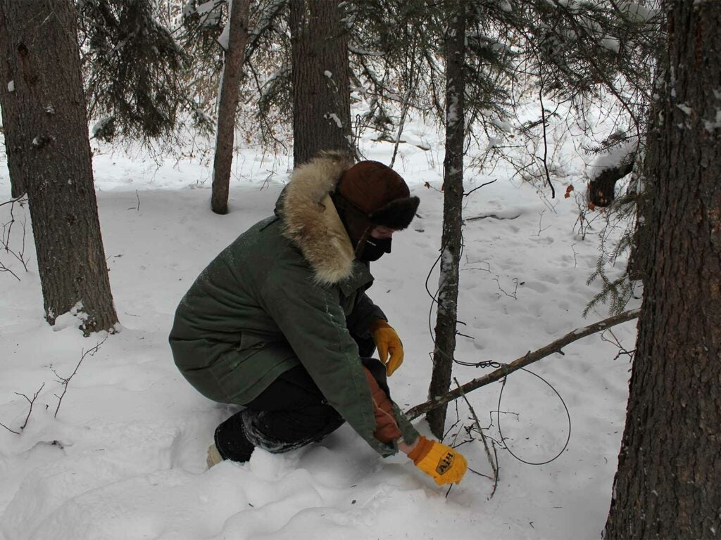 A hunter with a large wolf.