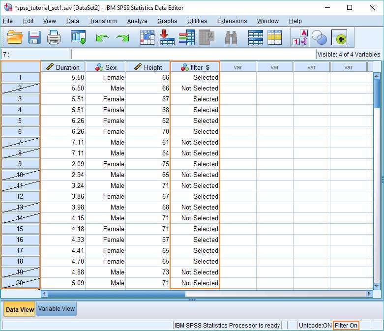 SPSS Data view with selected cases.