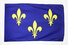 flag fleur de lis