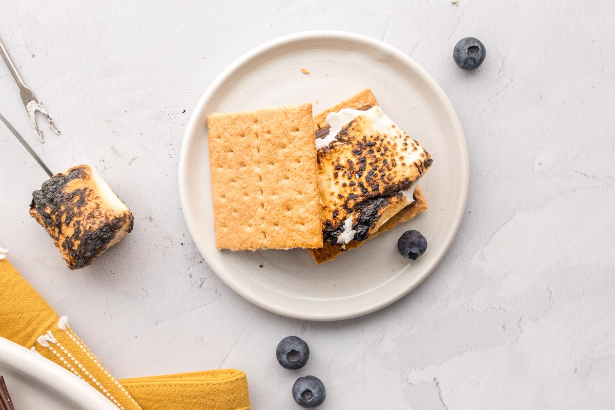 marshmallow s'more on a plate with blueberries around