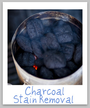 A charcoal stain removal guide for clothes, upholstery and carpets, with step-by-step instructions {on Stain Removal 101}