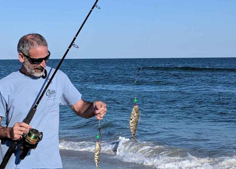 puffer fish caught in the wave