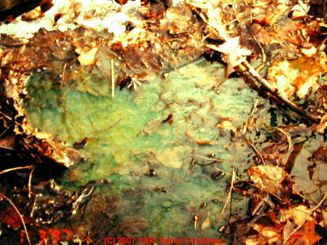 Faded green septic dye.