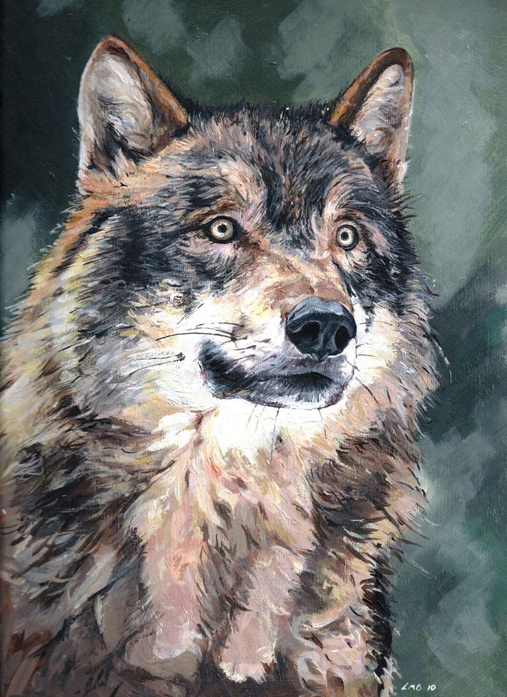 8 beautiful easy steps to acrylic painting of wolves