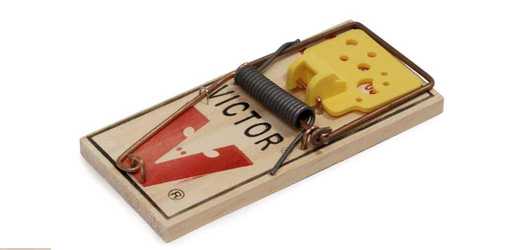 rolling mouse trap