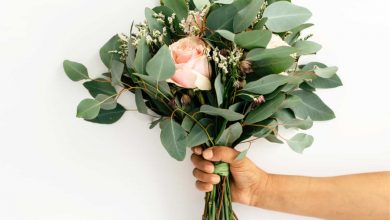 How to be a peacemaker