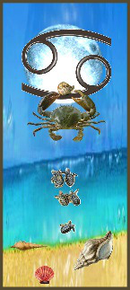 Image of Cancer Crab