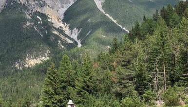Ashley Judd Hiking Down Swiss National Park