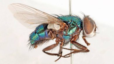 image 20151217 32613