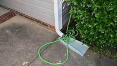 Expandable Garden Hose Next to House
