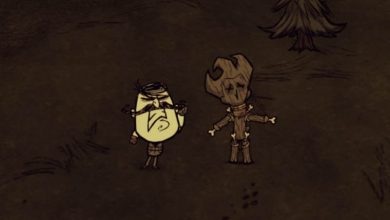 meat effigy dont starve wolfgang 0