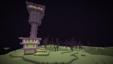 Image via Minecraft