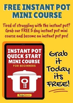 instant free mini course