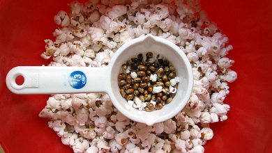 gec_popcorn