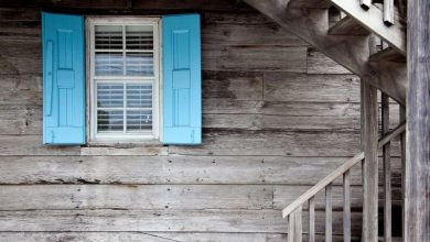 Windows on homes are easy targets for pests