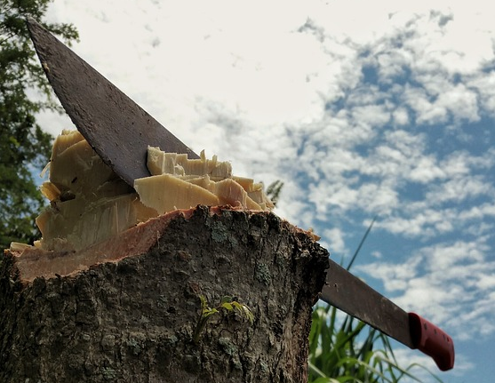 man using a machete