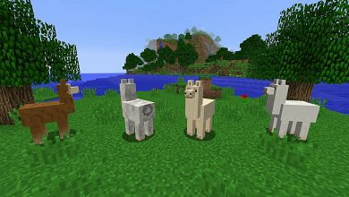 ride a llama minecraft