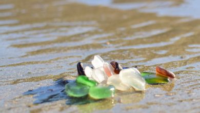 Beautiful—and genuine—sea glass from coastal California