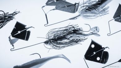 Image for How to Fish Buzzbaits for Bass
