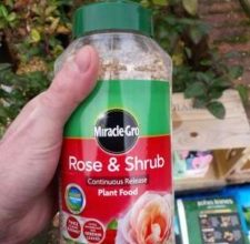Miracle-gro plant food