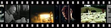 film form 0