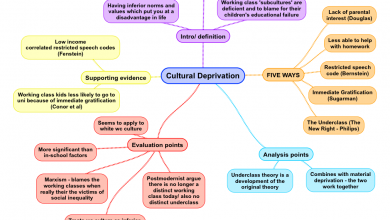 Cultural Deprivation and education
