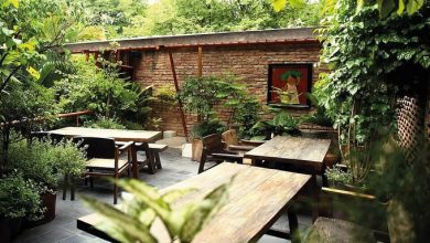 Two vegetarian restaurants in Vietnam shortlisted for global Tripadvisor