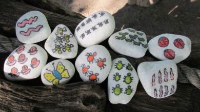 91 bug stones 0
