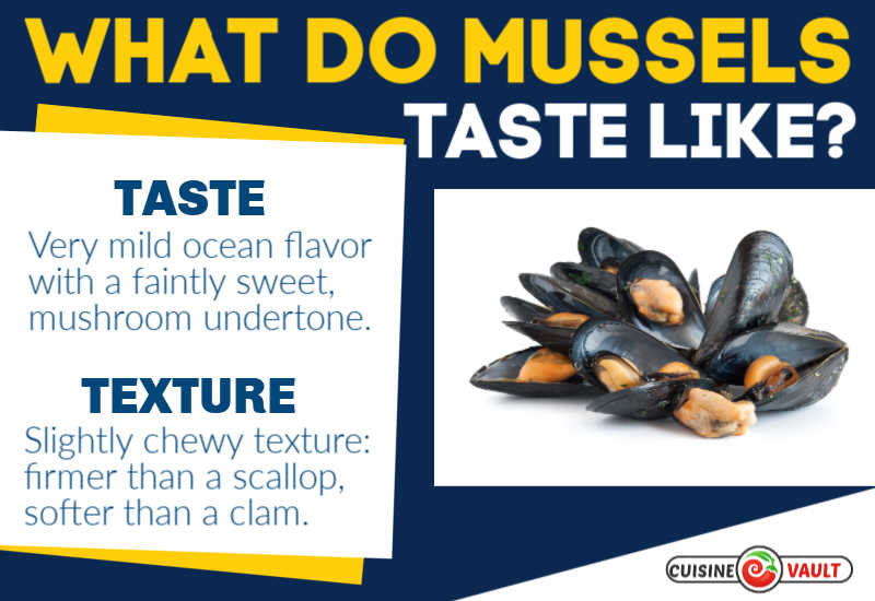 Describe the taste of mussels