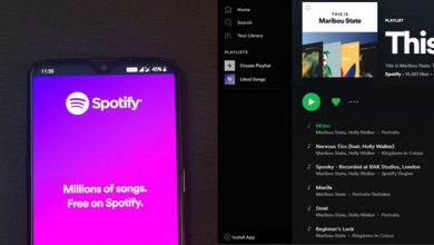 where does spotify store offline music 788x534 0