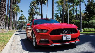 Ford Mustang expensive catalytic converter