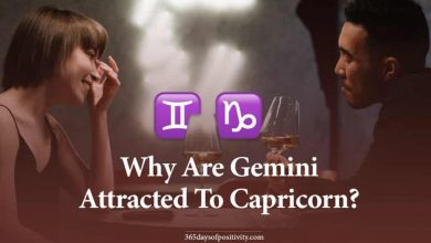 Why Are Gemini Attracted To Capricorn
