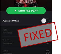 fix spotify songs greyed out